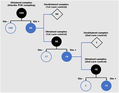 Recirculation of Giardia lamblia Assemblage A After Metronidazole Treatment in an Area With Assemblages A, B, and E Sympatric Circulation
